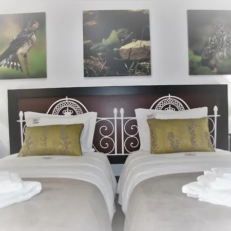 O Casario Bed & Breakfast